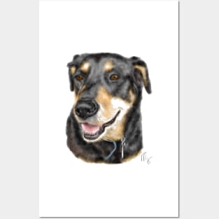 Smiling Rottweiler Pooch Dog Posters and Art